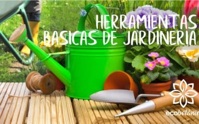 Herramientas básicas de jardinería
