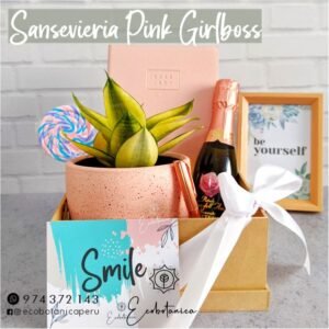 box regalos personalizados sansevieria pink girlboss notes suculenta peru ecobotanica peru lima corporativo delivery